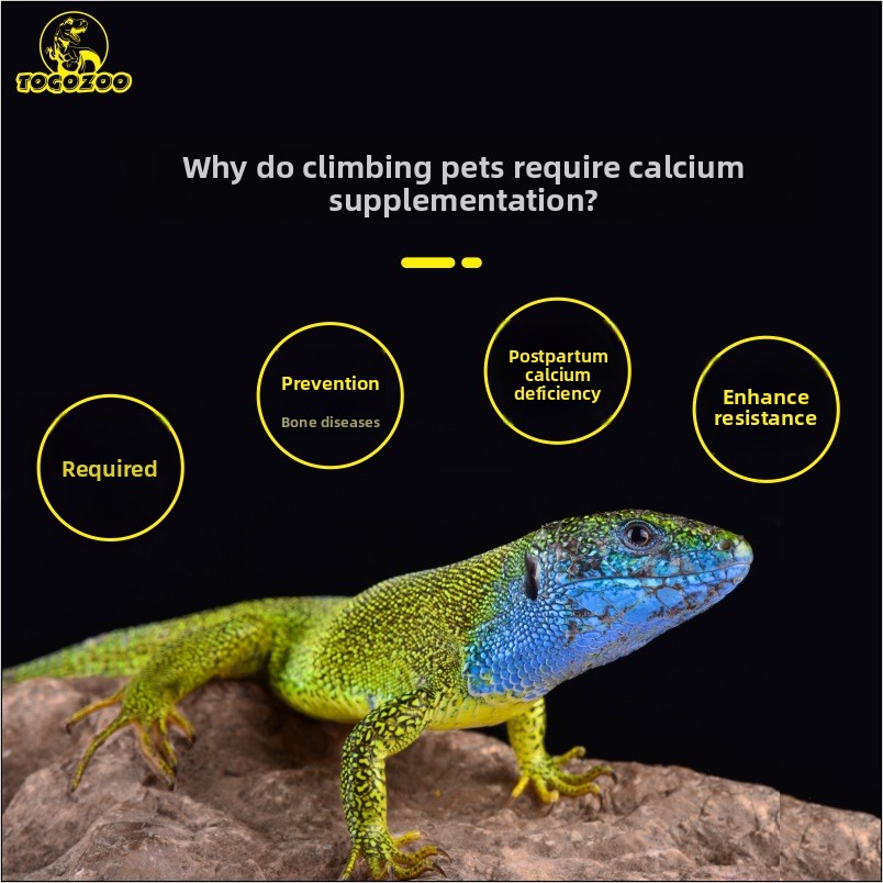 TOGOZOO WILDCAL Reptile Calciu - Calcium Powder Reptile review and price