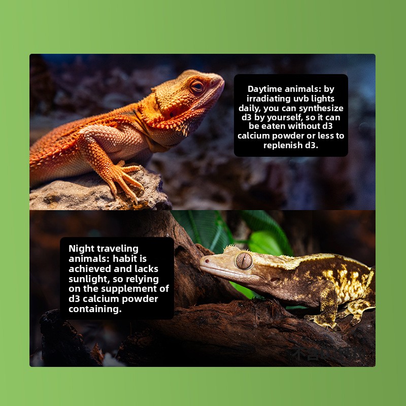 Reptizoo Reptile Calcium Powde - Calcium Powder Reptile review and price